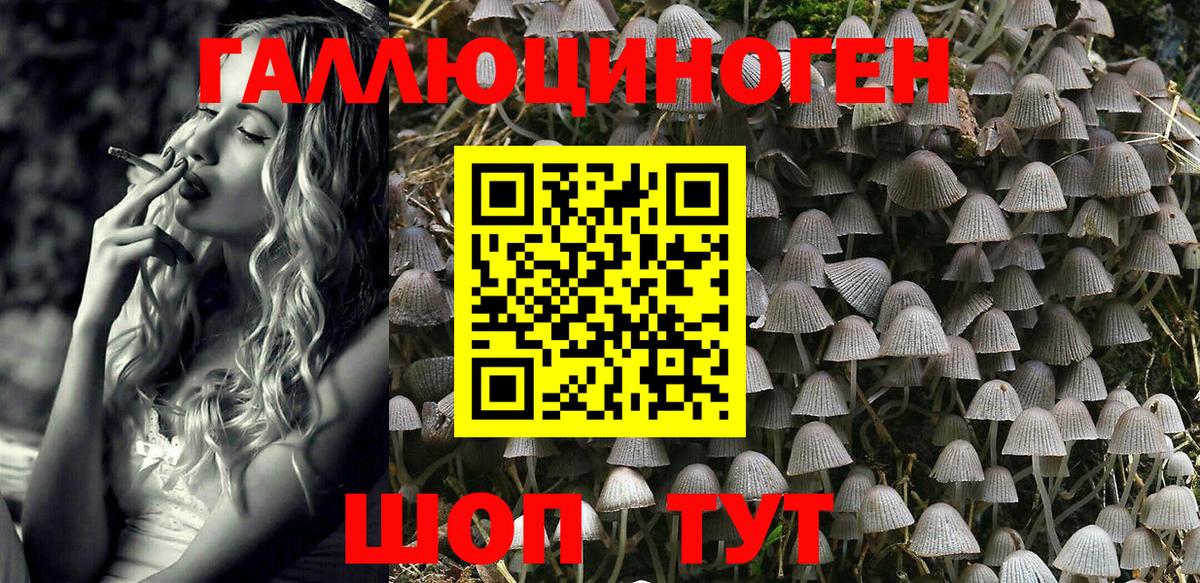 Галлюциногенные грибы Psilocybe  Псилоцибиновые грибы GOLDEN TEACHER  Вход с VPN  Кстово 